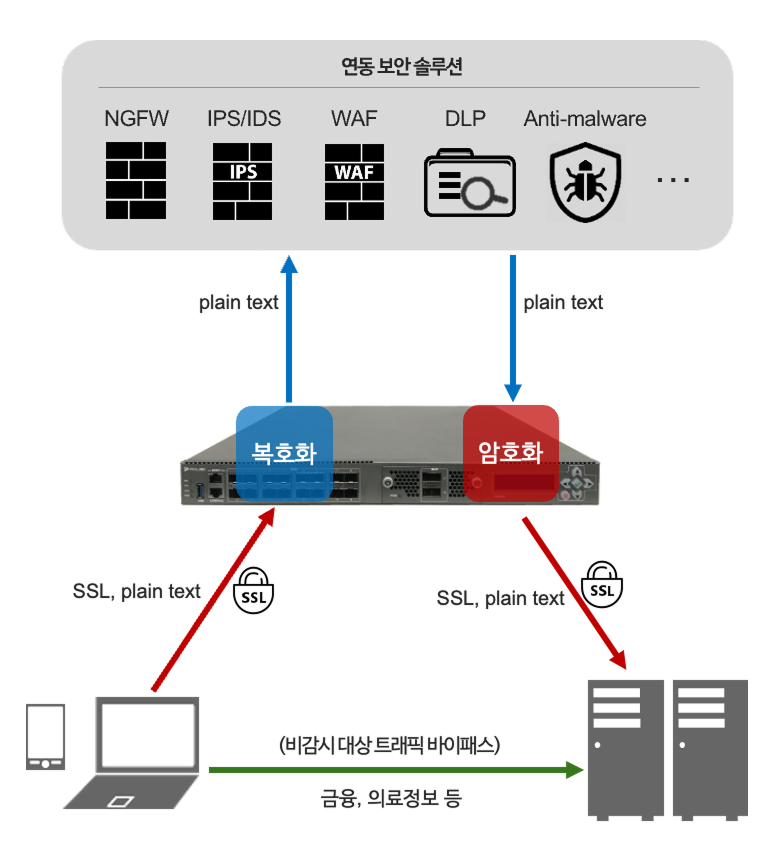 SSL 가시성
