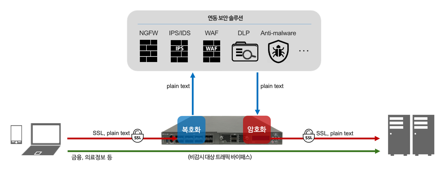 SSL 가시성